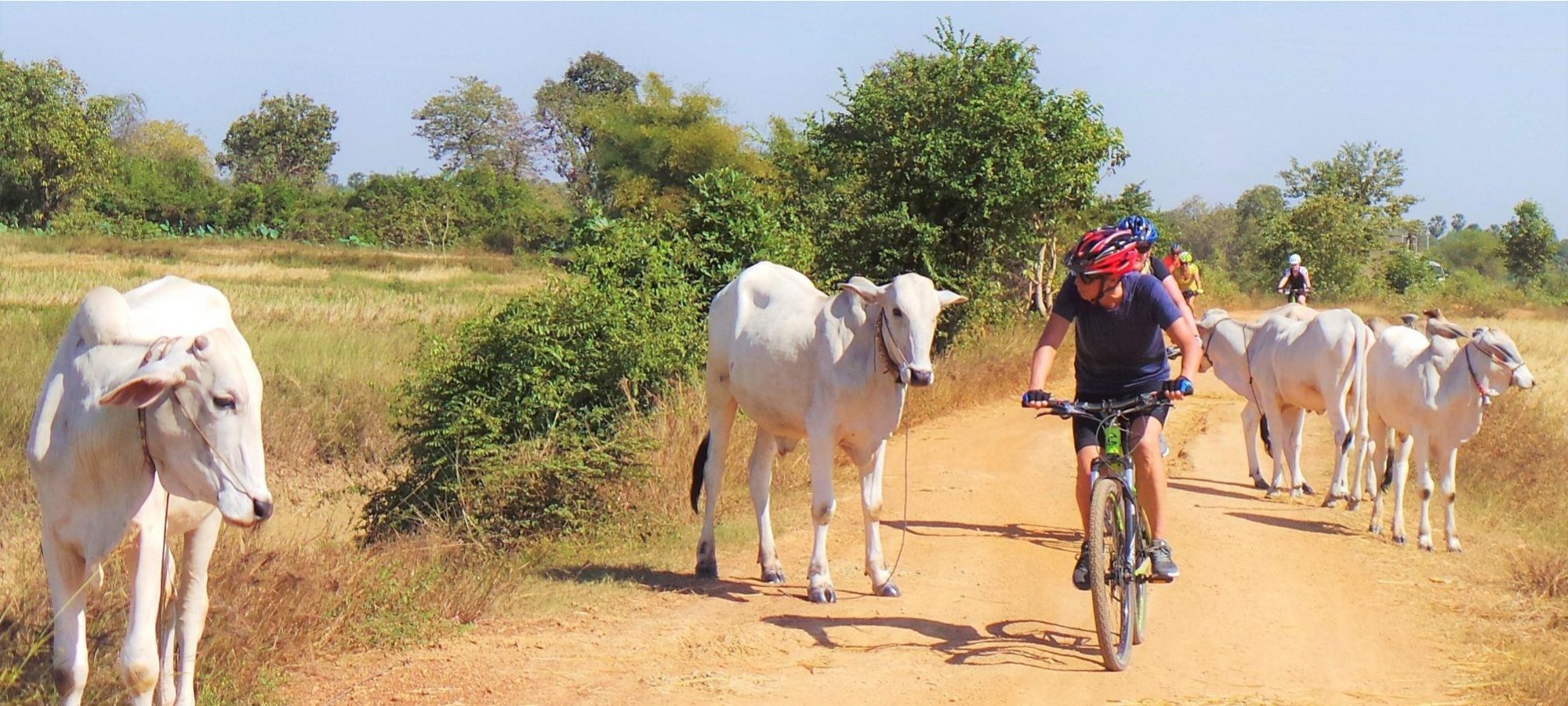 Photos from our Cambodia Cycling Holiday